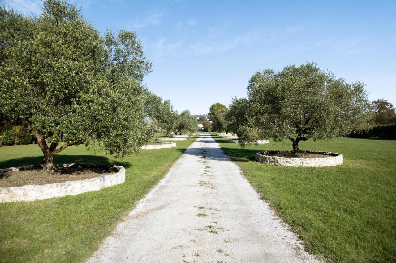 Villa Charmante A Saint-Germain-D'Esteuil Avec Piscine Privee Zewnętrze zdjęcie